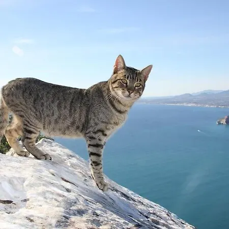 빌라 Noa - Plusholidays